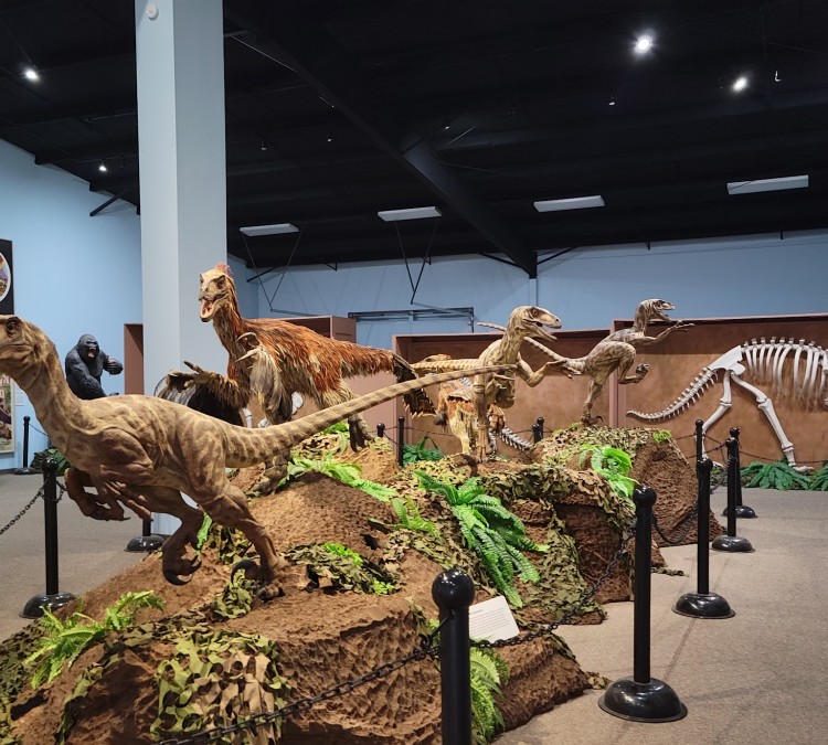 The Dinosaur Museum (Blanding,&nbspUT)